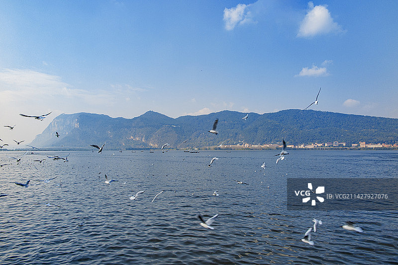 中国云南昆明滇池海埂公园，海鸥、滇池、西山、游船、睡美人、蓝天白云图片素材