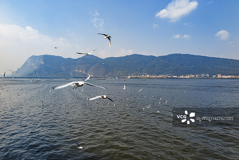 中国云南昆明滇池海埂公园，海鸥、滇池、西山、游船、睡美人、蓝天白云图片素材