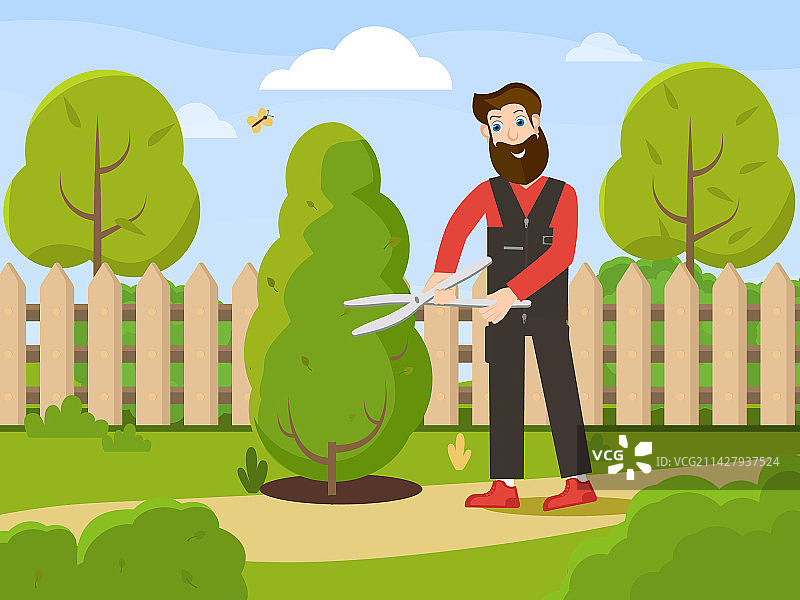 专业园丁修剪灌木丛图片素材