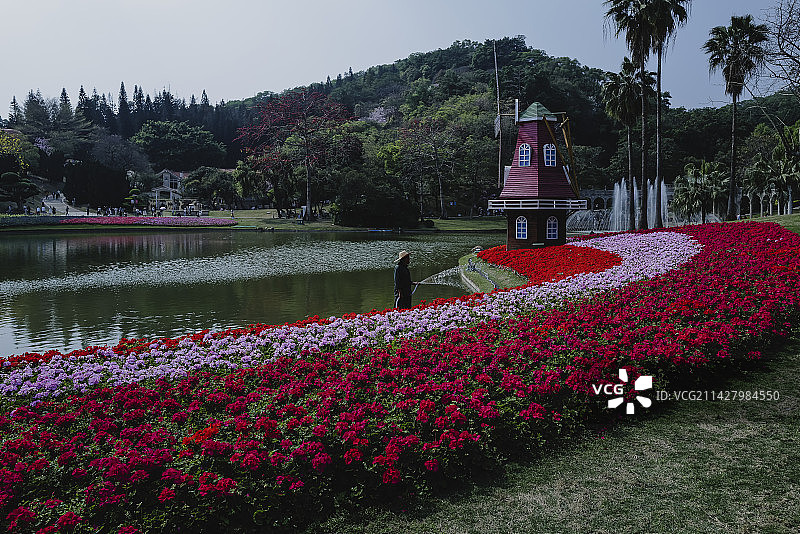春日里的云台花园图片素材