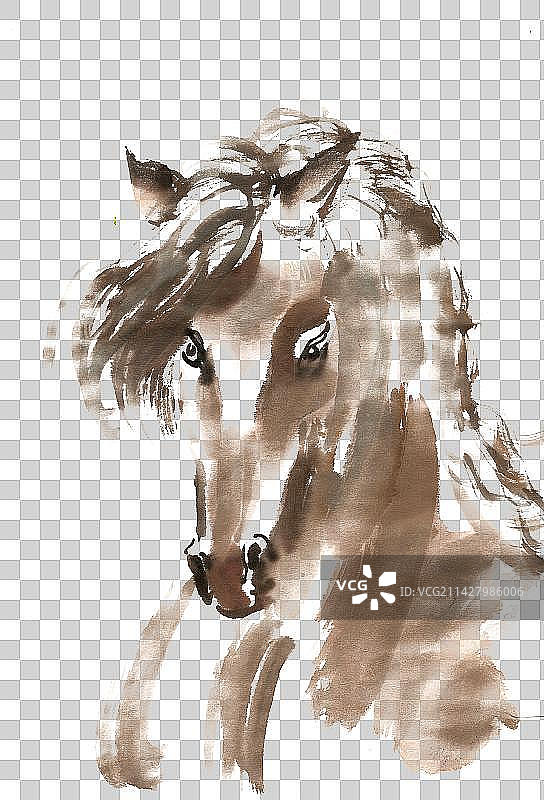 低头的骏马图片素材