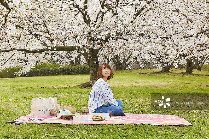 女人在公园野餐时抬头看着盛开的樱花图片素材