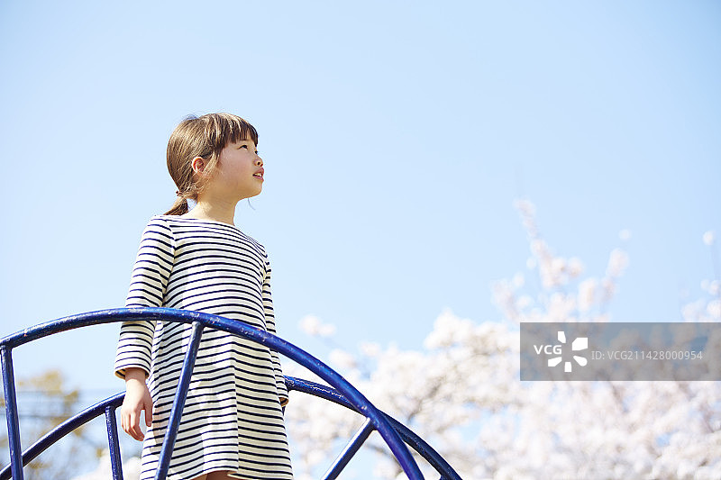 女孩站在公园的滑梯上，周围是樱花图片素材