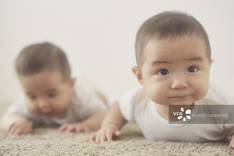 米色地毯上并排躺着的双胞胎宝宝特写图片素材