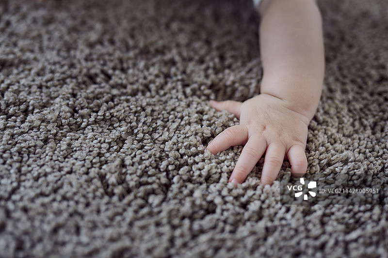 灰色地毯和婴儿的小手图片素材