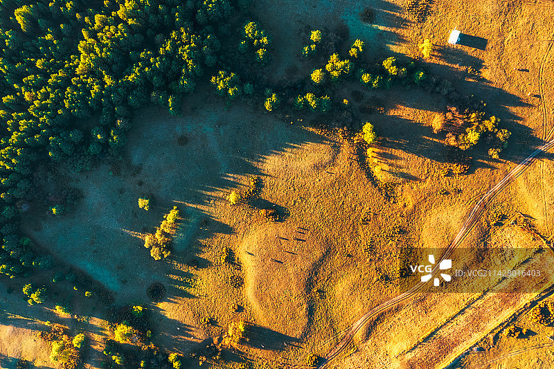 内蒙古自治区呼伦贝尔市鄂温克族自治旗辉河湿地（辉河林场）秋季户外风光航拍正上方视角图片素材