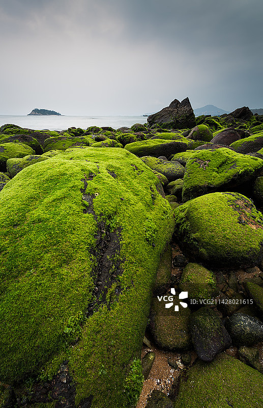 黄昏海滩岩石苔藓退潮景观图片素材