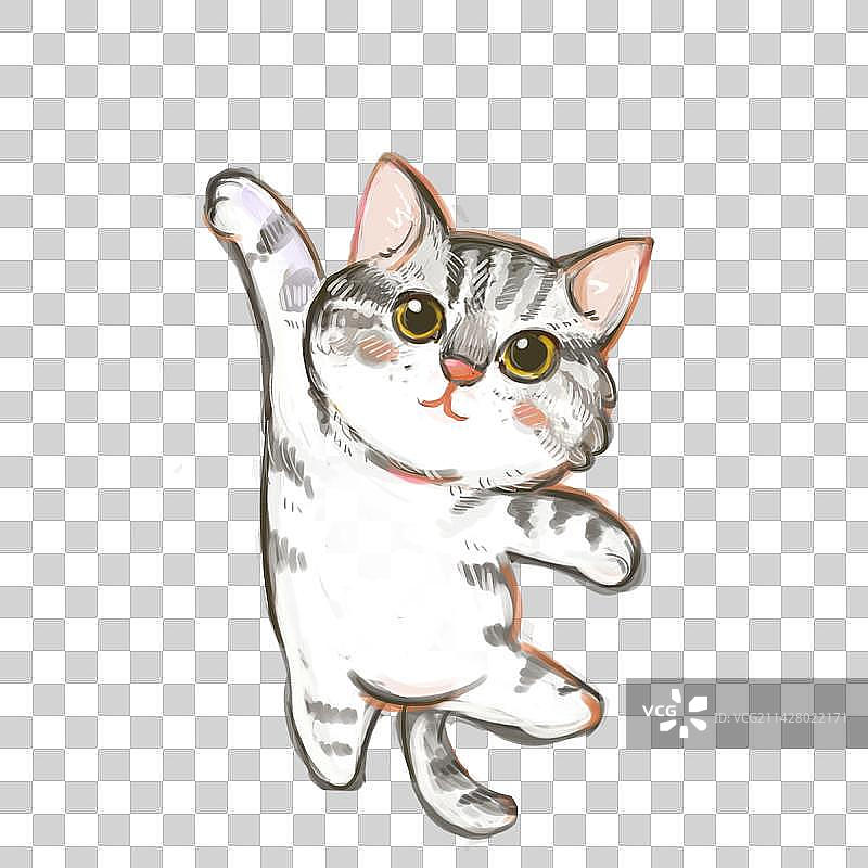 肥肥的跳起来打招呼的猫图片素材