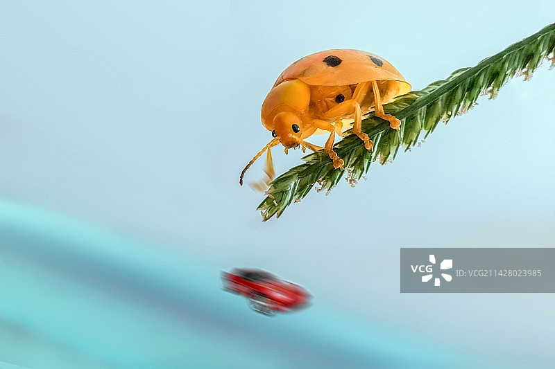 归程何处图片素材