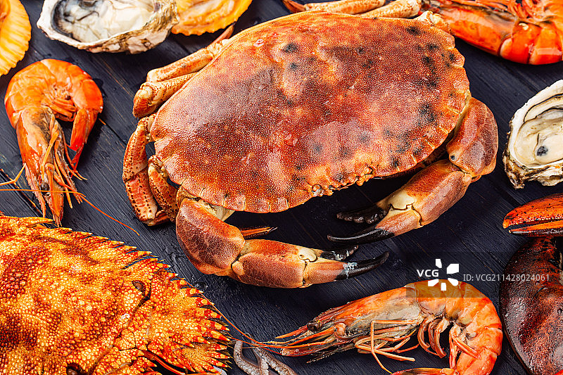 各式海鲜图片素材