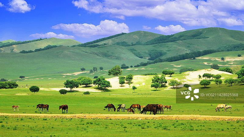 草原牧场风光图片素材