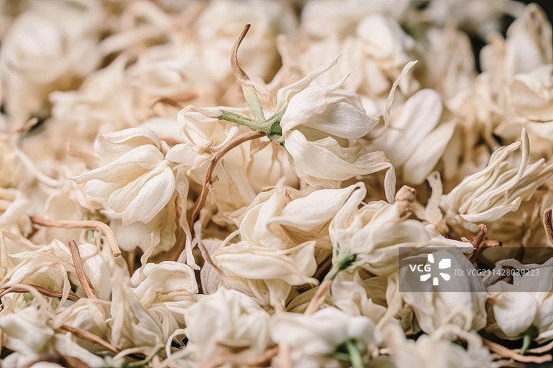 晒干的茉莉花干花，是制作茉莉花茶的原料图片素材