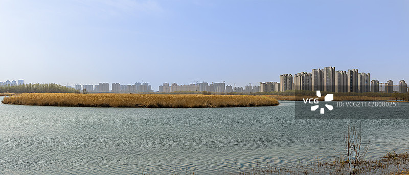 宁夏银川七十二连湖初春景色图片素材