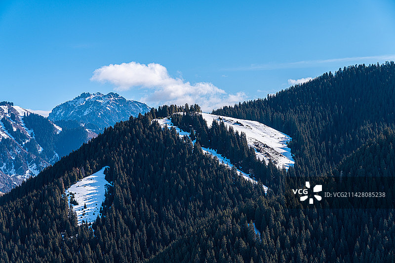 新疆 冬季 喀拉峻草原 雪山 原始森林图片素材