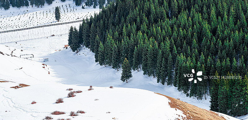 新疆 冬季 喀拉峻草原 雪山 原始森林图片素材