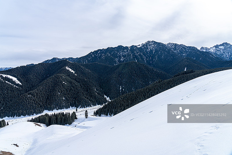 新疆 冬季 喀拉峻草原 雪山 原始森林图片素材