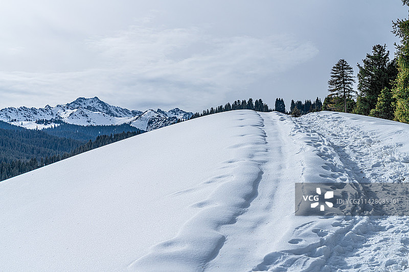 新疆 冬季 喀拉峻草原 雪山 原始森林图片素材