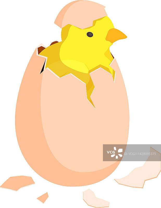刚孵化的小鸡图案图片素材