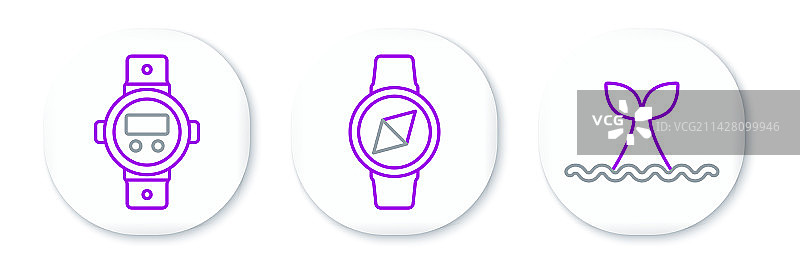 海洋潜水：鲸鱼尾巴、潜水表图片素材