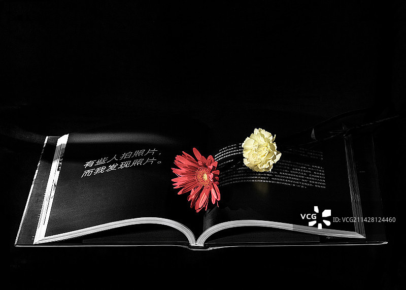 《发现照片》-[英]Jane Bown图片素材