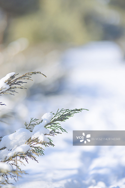 温暖文艺清新冬天图片图片素材