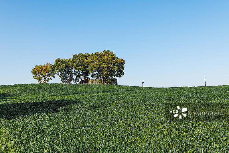 义乌作物园植物园图片素材