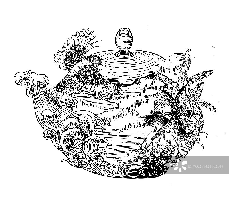 茶叶包装设计版画图片素材