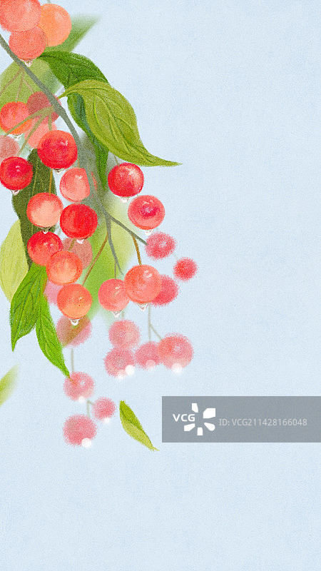 谷雨节气樱桃清新文艺插画背景图片素材