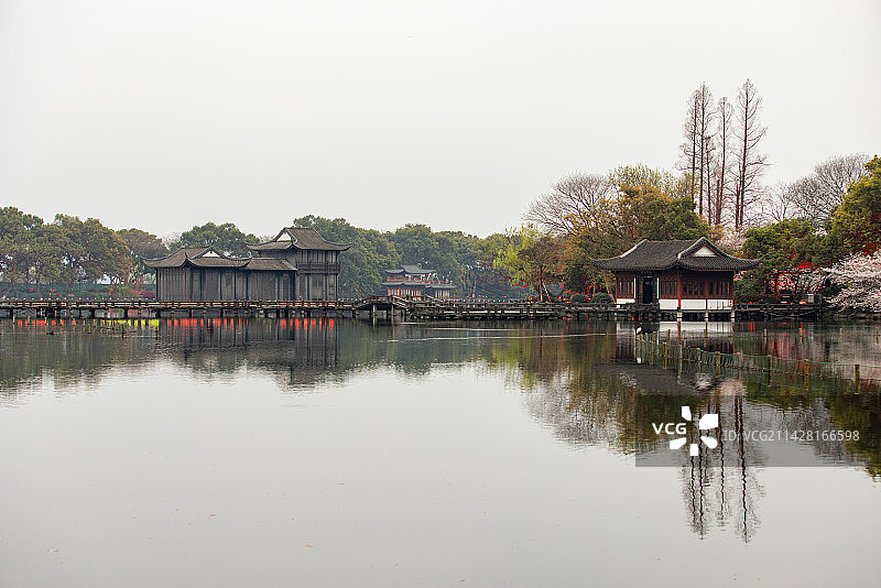杭州西湖曲院风荷图片素材