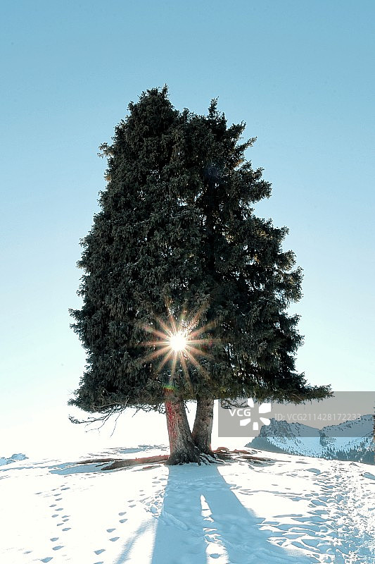 南山牧场图片素材