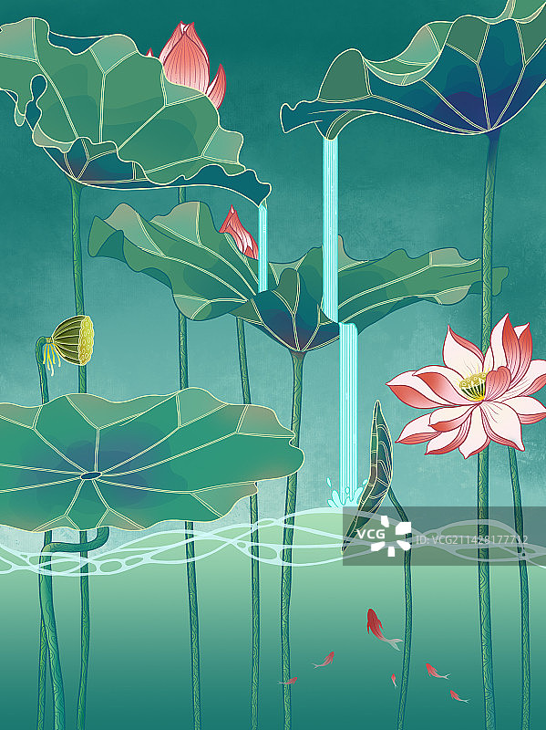 夏天荷花图片素材