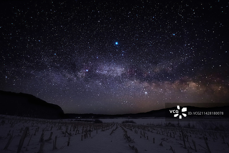 银河下的玉米地图片素材