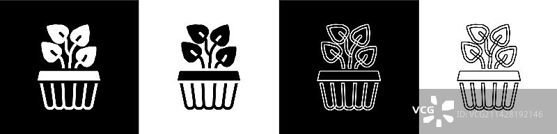 室内植物常春藤盆栽图标套装图片素材