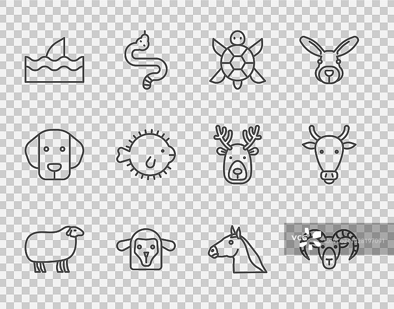 绵羊山羊或公羊和乌龟图片素材