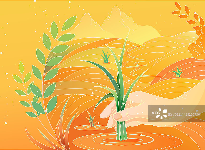 国风扁平种田水稻插画图片素材