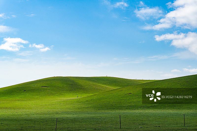 青海湖畔的牧场风光图片素材