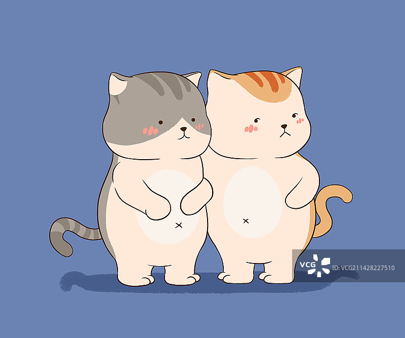 猫兄弟图片素材