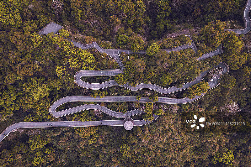 福道春色图片素材