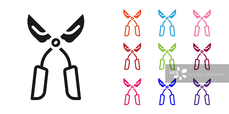 黑色手工园艺修剪剪刀图片素材