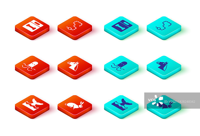 海洋波浪中的鲸鱼尾巴、兔子、章鱼图片素材