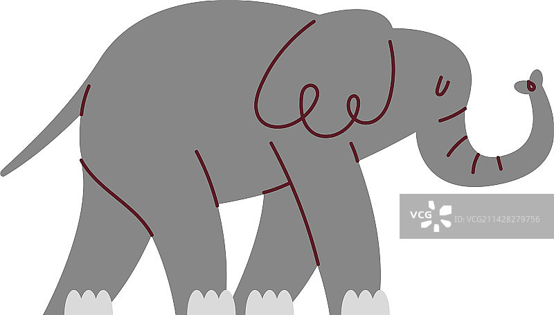 强壮的野生大象图片素材