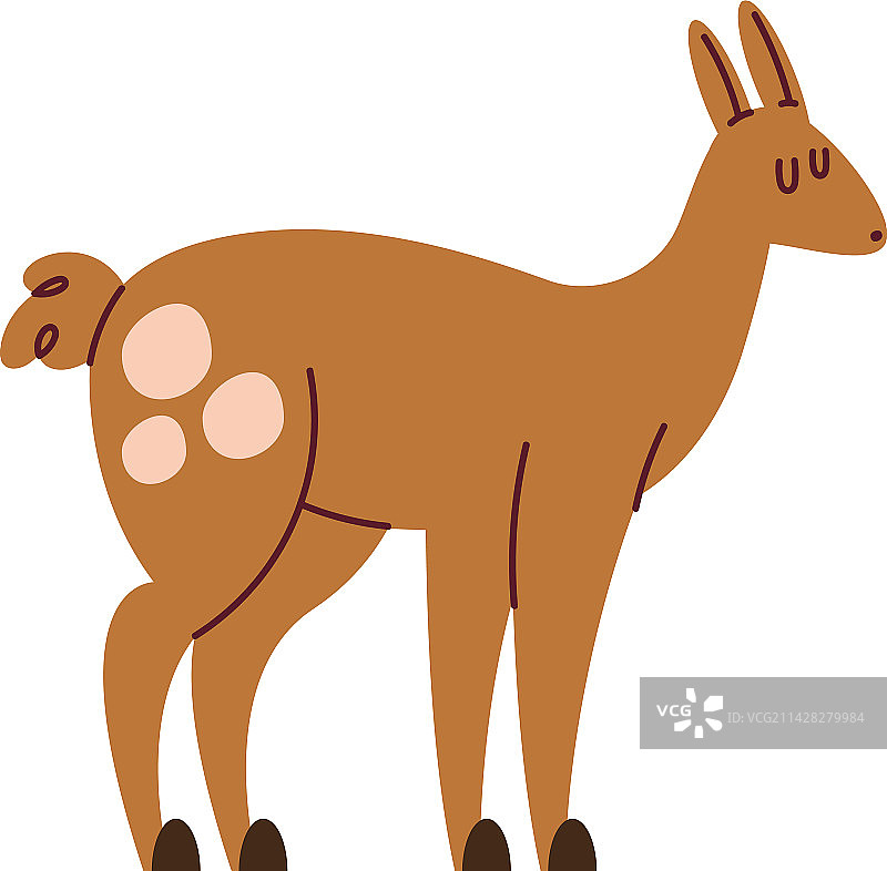 可爱的小鹿野生动物图片素材