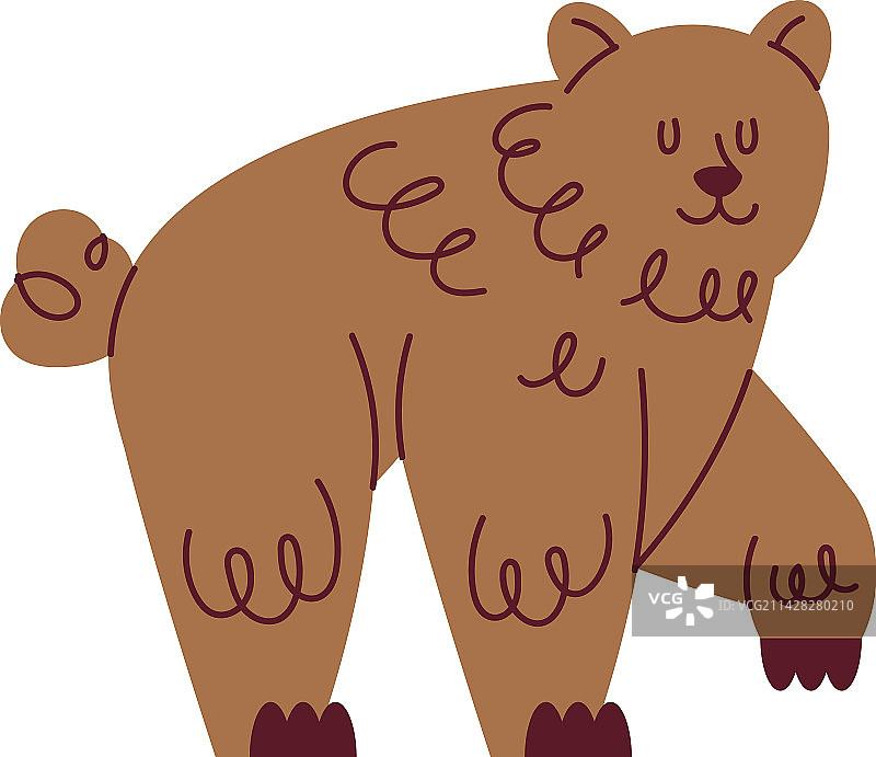 灰熊野生动物图片素材