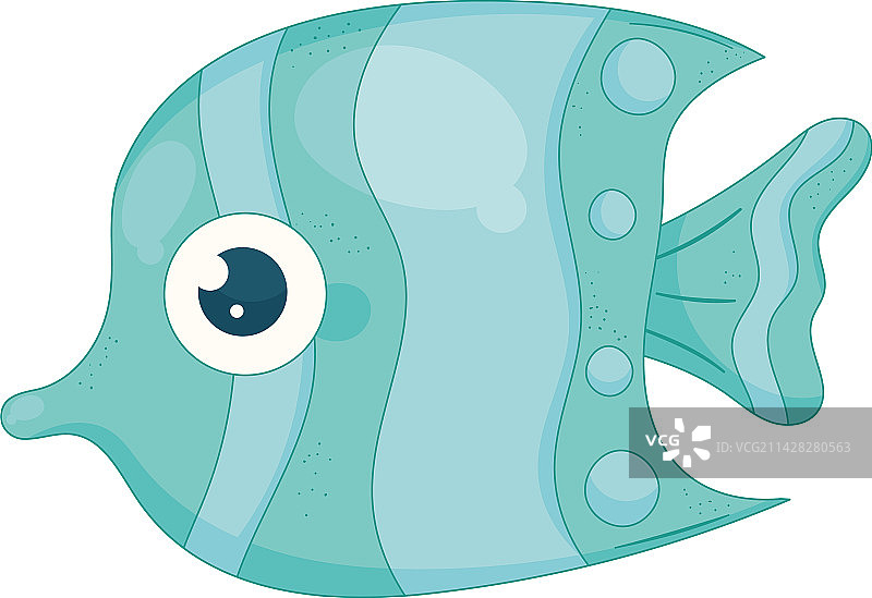 蓝色天使鱼游动图片素材