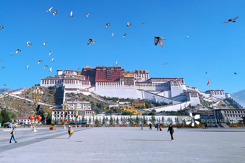 西藏布达拉宫广场 蓝天 鸽子 行人 西藏旅游 旅行图片素材