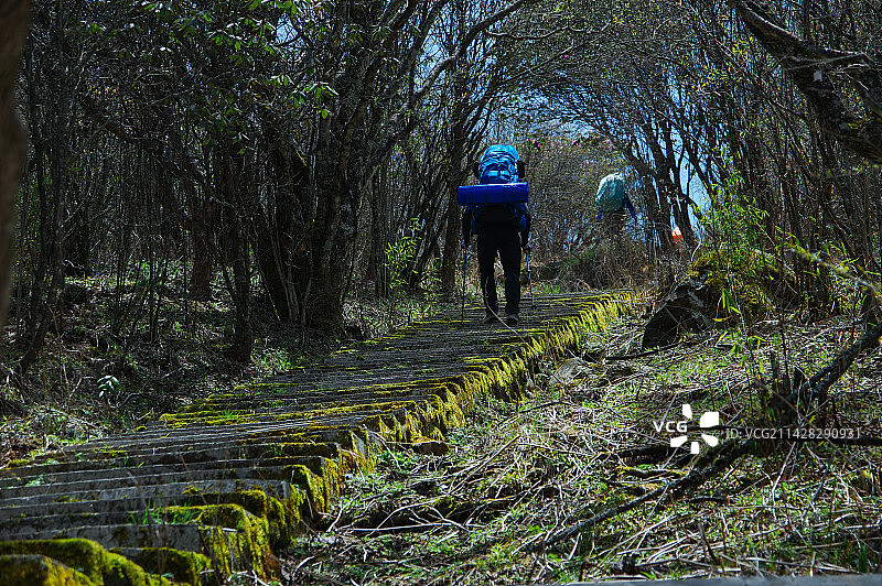 背包客图片素材