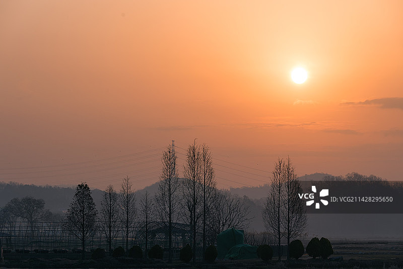 春日晨光图片素材