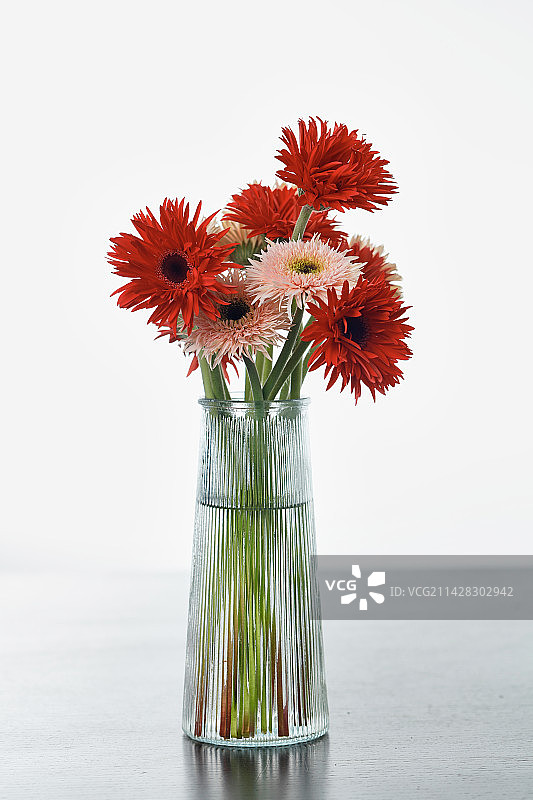 花瓶  花图片素材