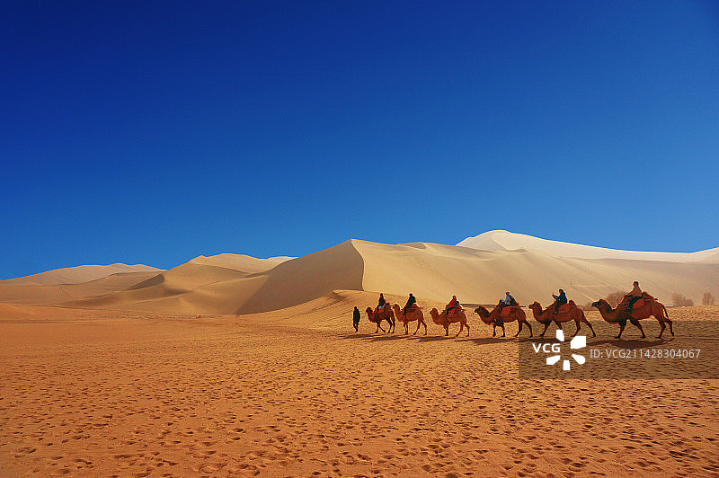 阿拉善腾格里大漠驼铃沙漠营地图片素材