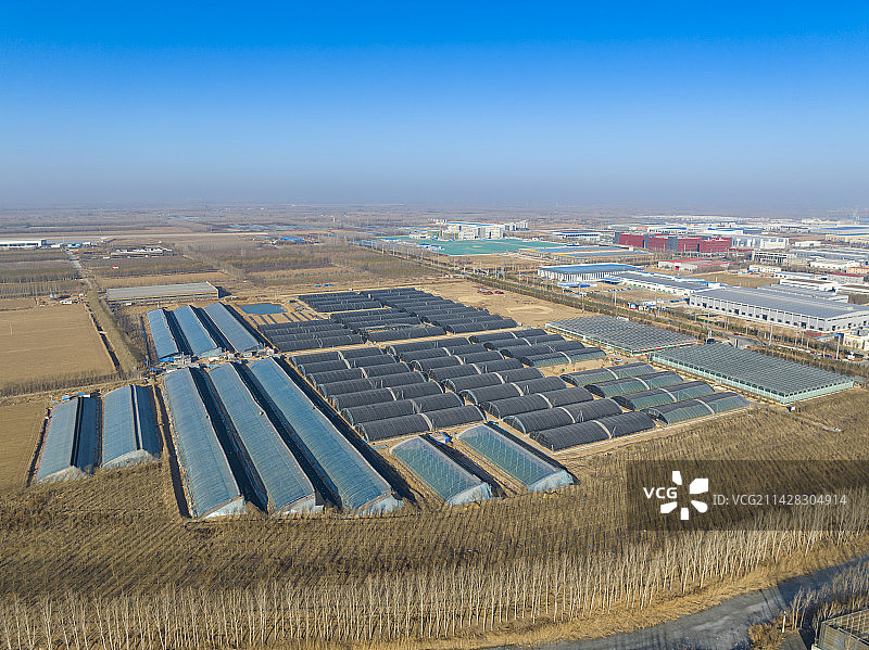 山东济南商河蔬菜大棚航拍图片素材